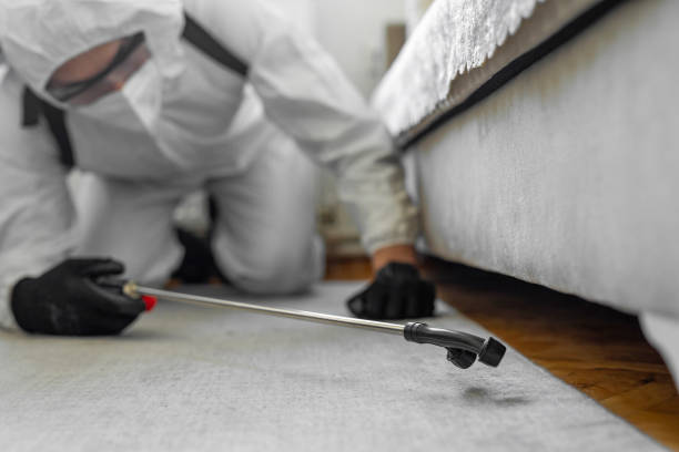 Professional Bed Bug Control technician working in Bartholomew County County, IN